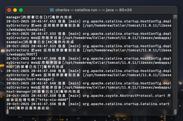 JSP 实验踩坑记录